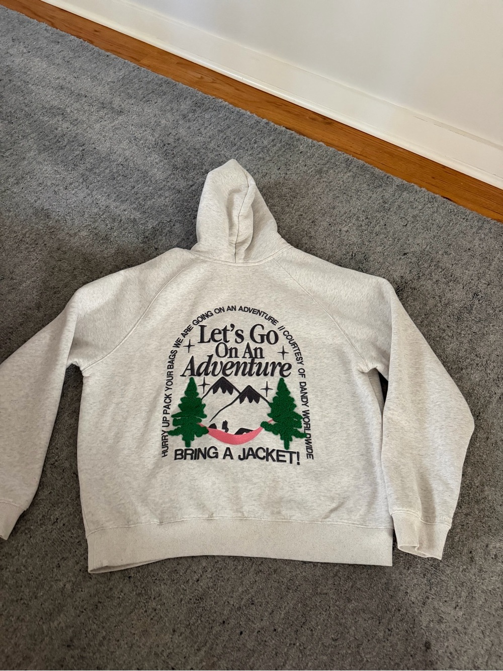 DANDY worldwide hoodie Hallexdandy - Picture 2 of 5
